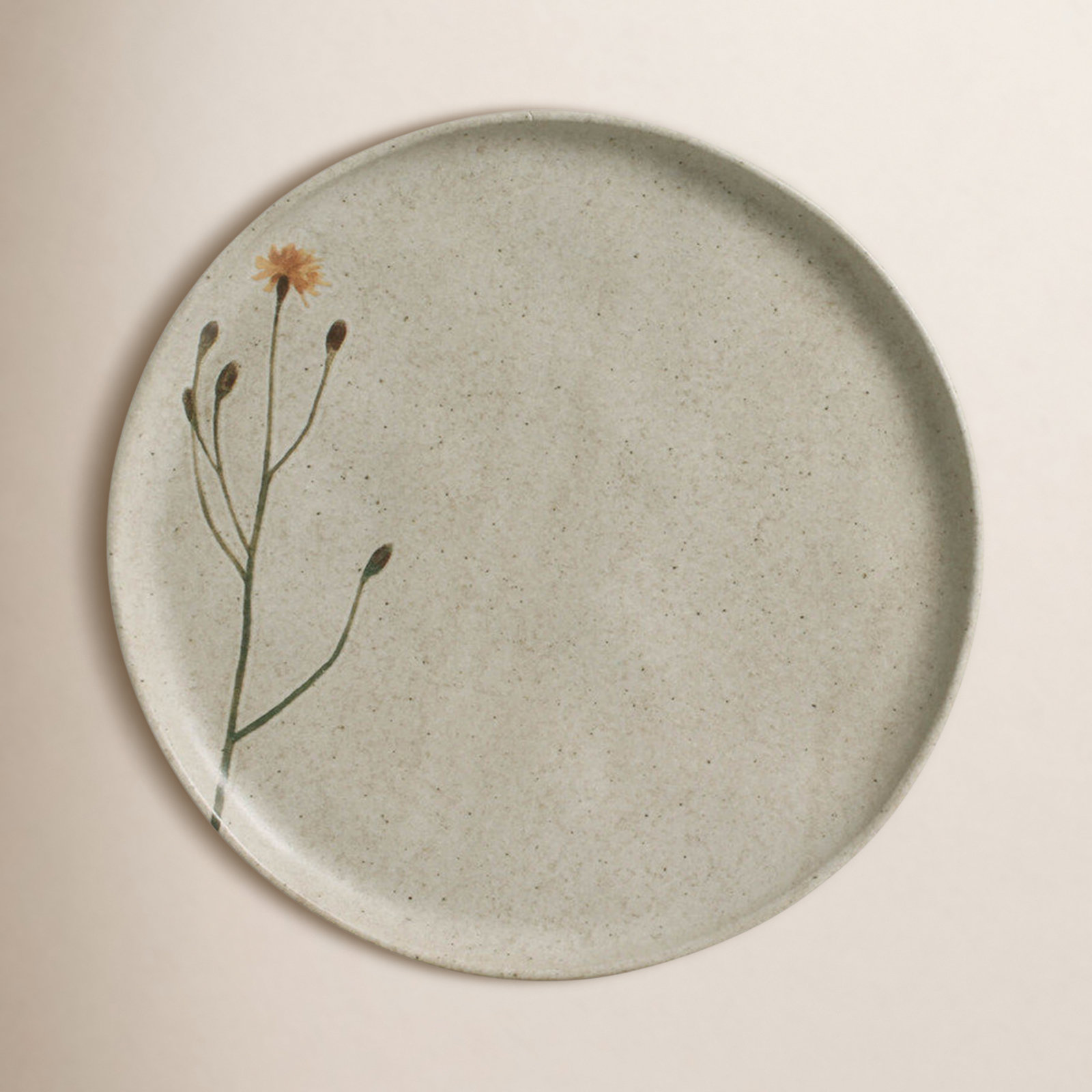 Campestre 11" Dinner Plate