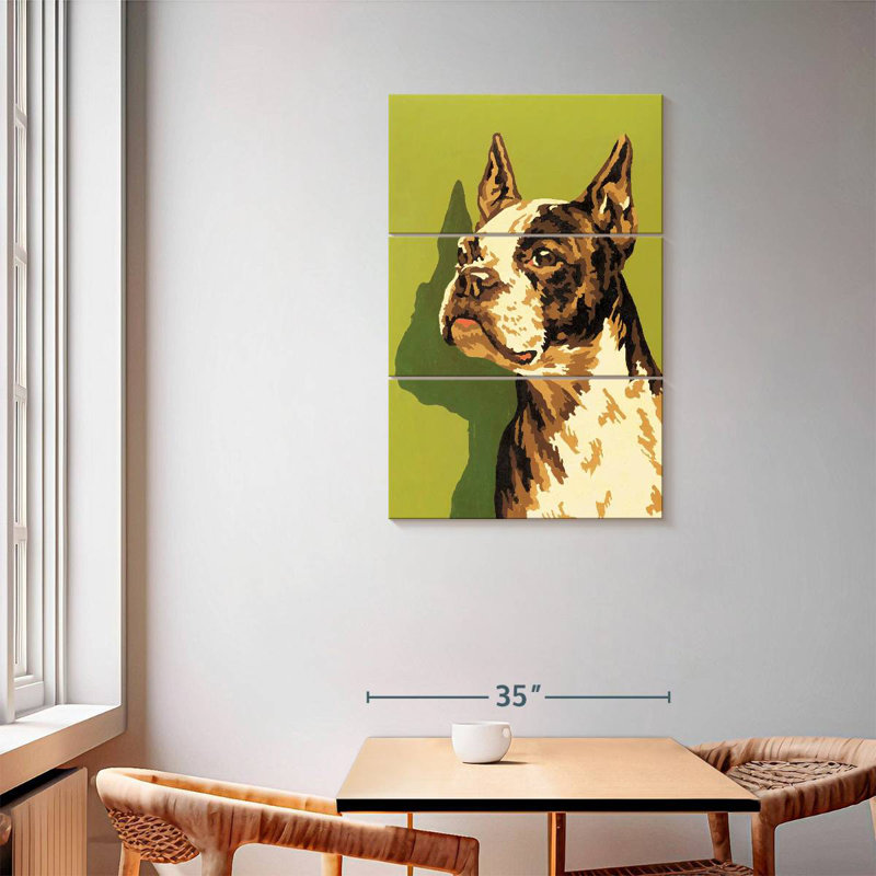 Brampt Boston Terrier, H 57 po x l 36 po