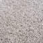 Erelia Indoor Rug-1935305266