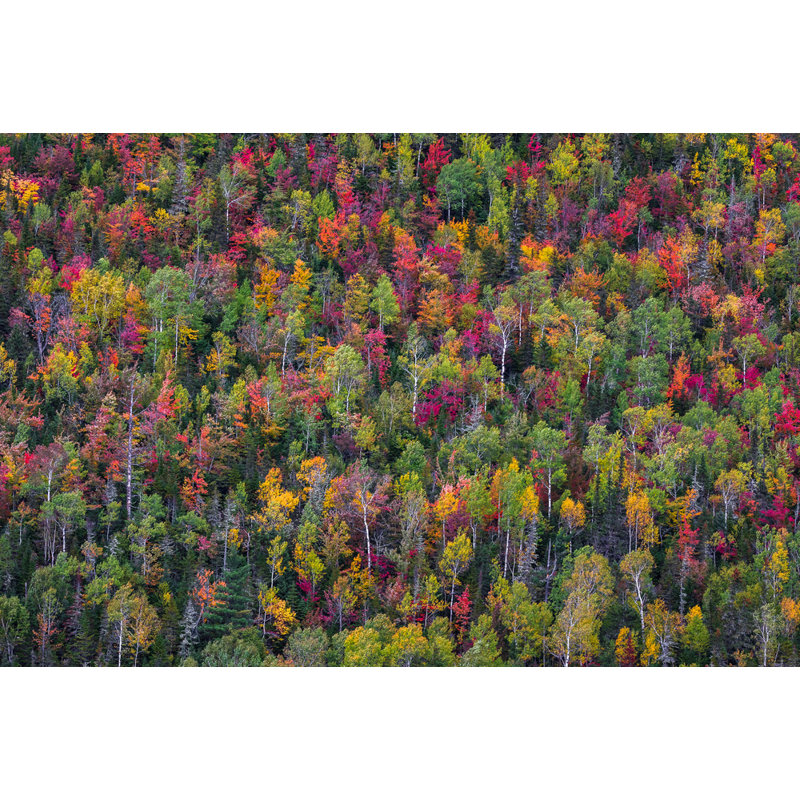 Wrapped Canvas Print, 60.96 cm H x 91.44 cm W