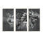 Loup et chef indien indien - ensemble de 3 reproductions d'art encadrées sur toile-87252671-87245123