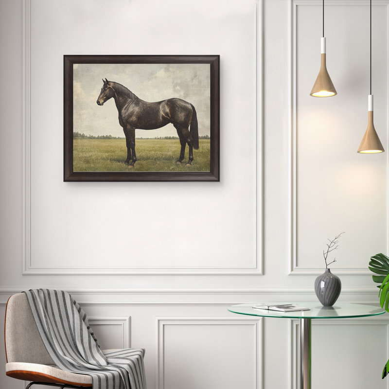 Expresso Horse