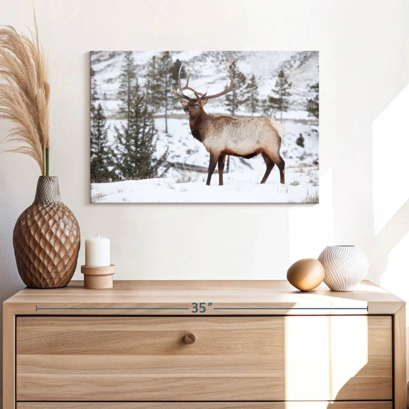 Winter Bull Elk, 16" H x 24" W
