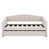 Beige is out of stock selected