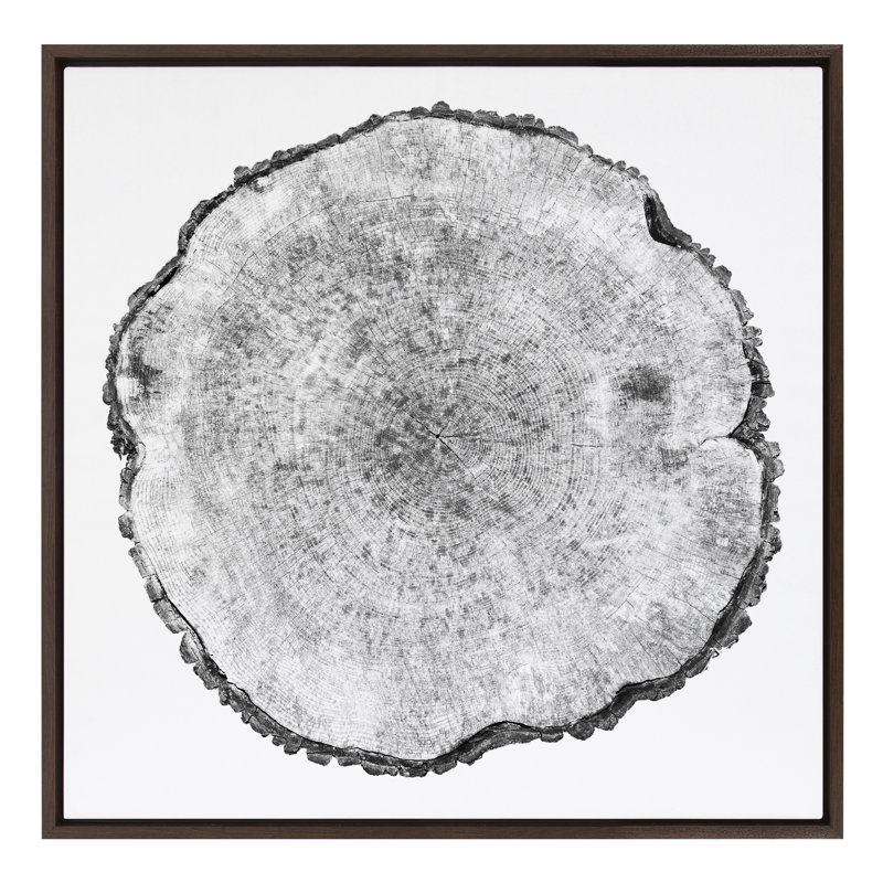«Tree Rings Linen» par Emiko et Mark Franzen, reproduction d'art sur toile encadrée, Cadre blanc