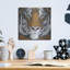 «Tiger Gaze» par Britt Hallowell-325729901