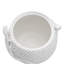 Anolis Canister - White
