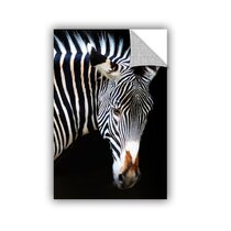 Animal Print Digital Paper Pack Zebra Print, Leopard Print, Tiger Stripes,  Giraffe Spots, Elephant Skin Textures - Instant Digital Download