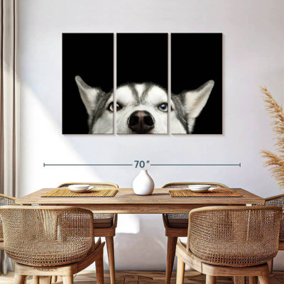 Brampt Peeking Siberian Husky