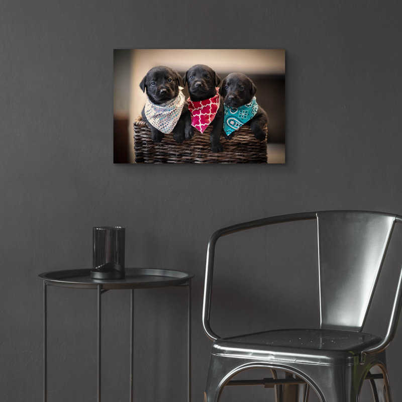 «Black Lab Pups 2» par Jonathan Ross, H 16 po x l 24 po x P 0,2 po