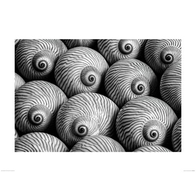 Striped Moon - Print on Canvas