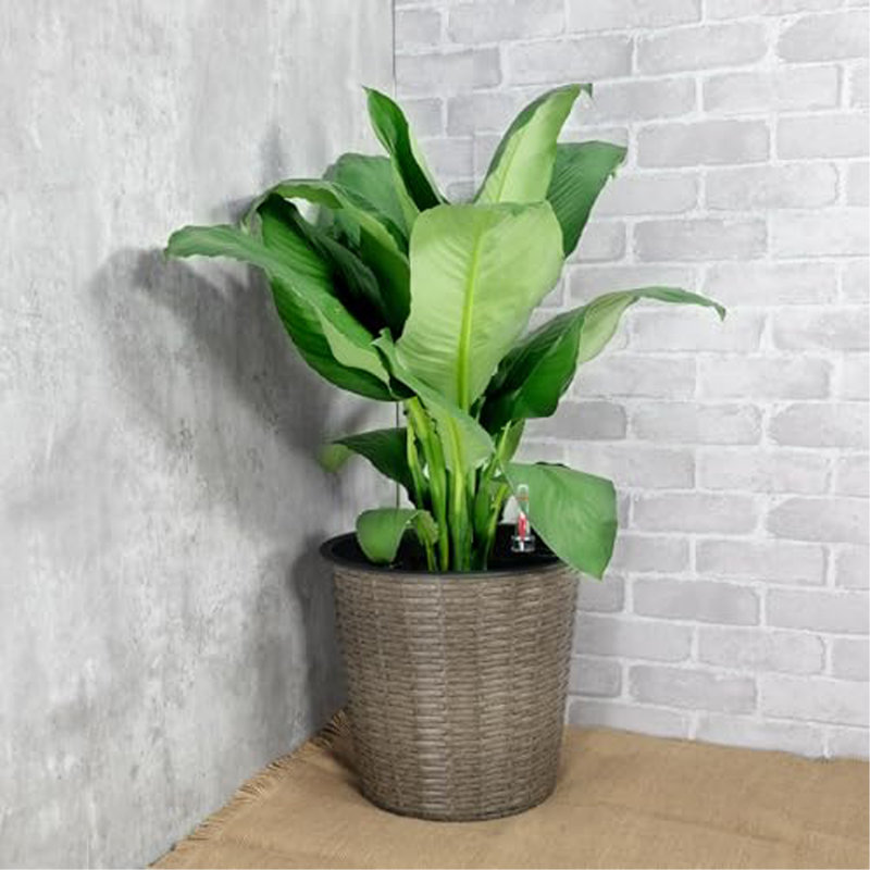 10.2" Self-Watering Wicker Decor Planter For Indoor And Outdoor - Round - Grey, Gray