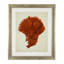 Antique Corals, ensemble de 6 reproductions encadrées