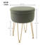 Alicha 33Cm Wide Velvet Round Storage Ottoman-335039194