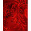 Fine Vibrance One-of-a-Kind 2' 7" X 4' 4" Hand Knotted Area Rug