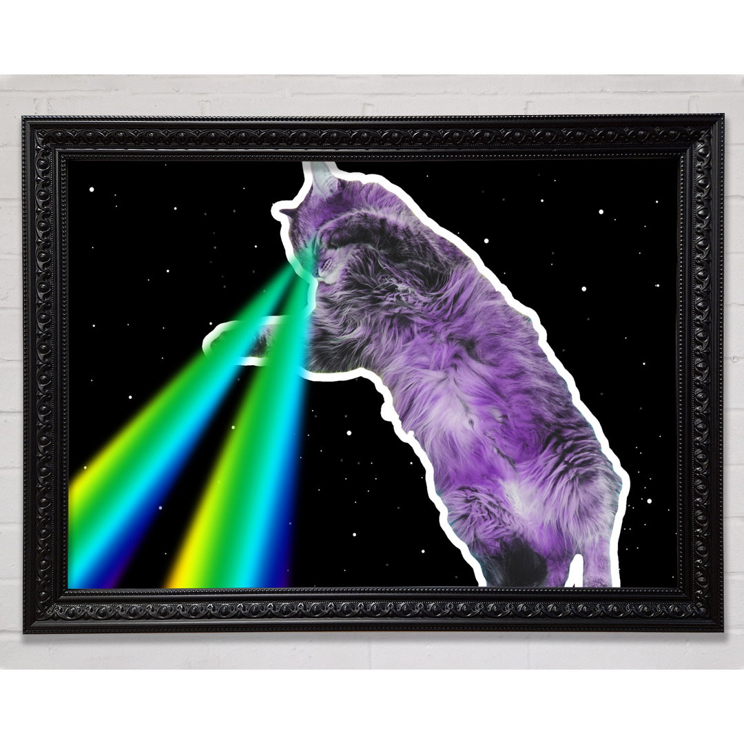 Katze Lazer Beam Space Gerahmter Druck