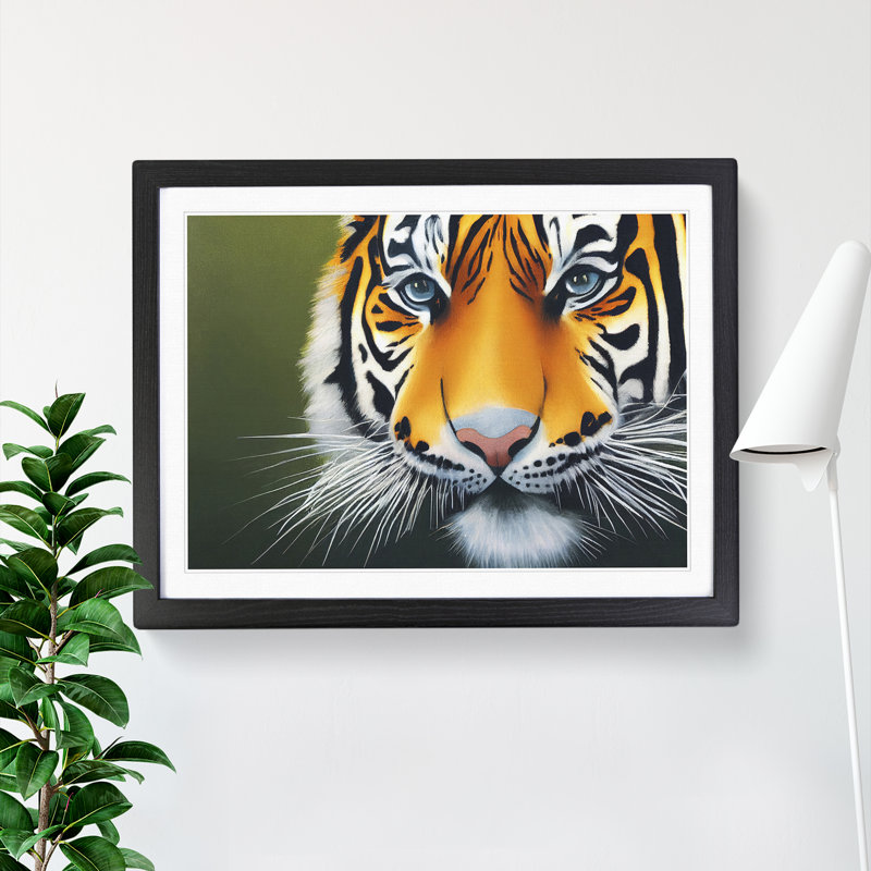 Amazing Tiger - Single Picture Frame Print, Black Framed, 46cm H x 64cm W x 2cm D