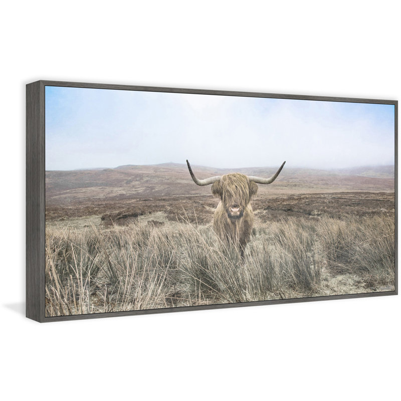 Cattle On A Hill - Floater Frame Print on Canvas, 30cm H x 30cm W x 3.81cm D
