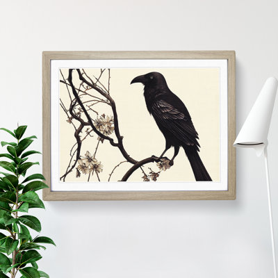 Terrific Crow Bird - Framed Print