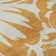 Premium Machine Washable Cerrito AMF551 Orange Rug