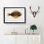 Illustration of a Greenback Flounder Fish by F.E. Clarke - Picture Frame Painting Print-55579359-55579360