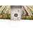 Kashkuli Gabbeh Green Rug 4'0" x 5'10"