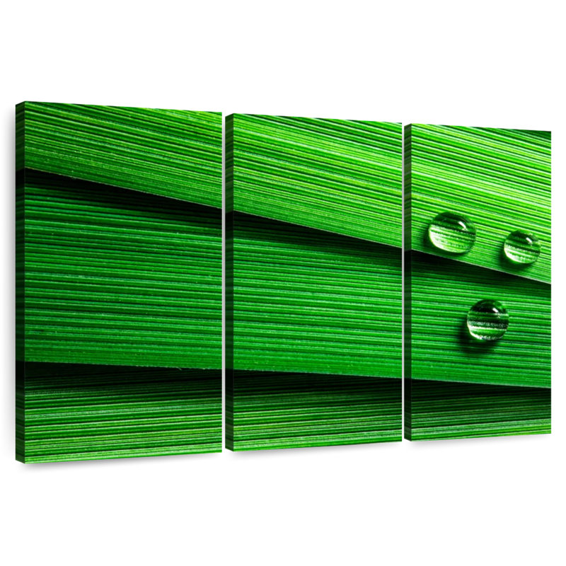 Harnek Droplets On Leaf, 42" H x 65" W