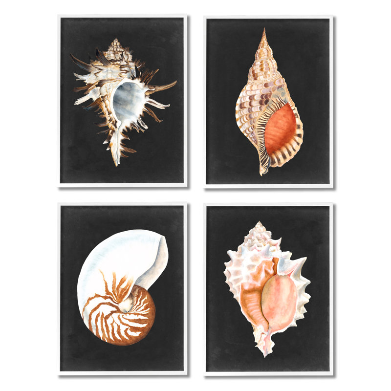 Illustration réaliste de la coquille de palourde et de la coquille de mer, 4 pièces, Michael Willett, Cadre blanc