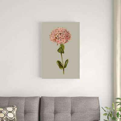 Botanical Array VIII