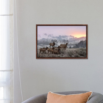 First Light 1 Piece Wall Art on Canvas
