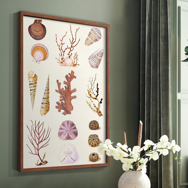 Coral & Shell Collage II, reproduction encadrée - bois massif, Cadre photo brun simple, H 28 po x l 22 po