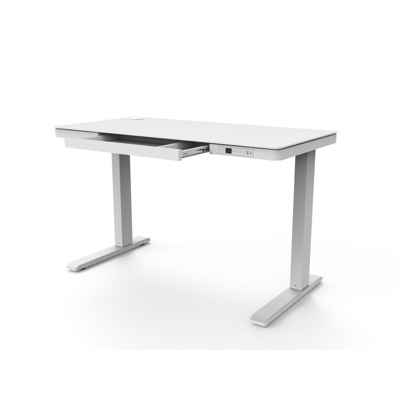 Willsbridge 120Cm W Height Adjustable Rectangular Computer Desk, White