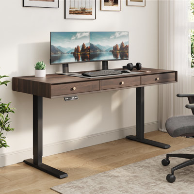 Electric Standing Desk With 3 Drawers, Height Adjustable Computer Desk