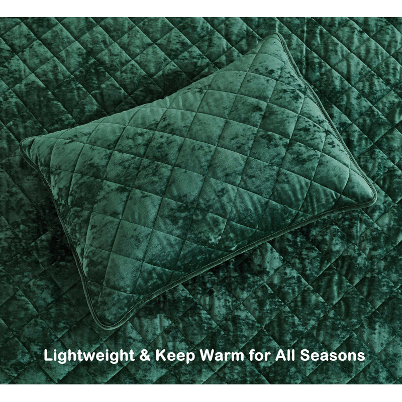 Forest Green Queen Velvet Quilt Set with Reversible Shams