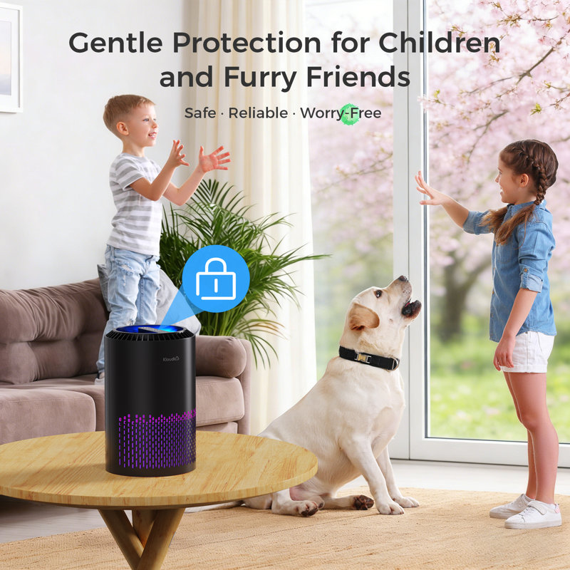 Purificateur d'air de table pour les poils d'animaux de maison Kloudic, H 10 po x l 6 po x P 6 po, Noir