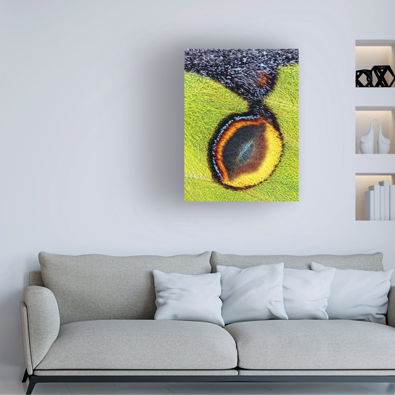 Jimmy Hoffman Eyespot Canvas Art, 24" H x 18" W