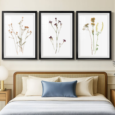 Pressed Botanical I  -Custom Framed  Premium Print W Matt - 3 Pieces