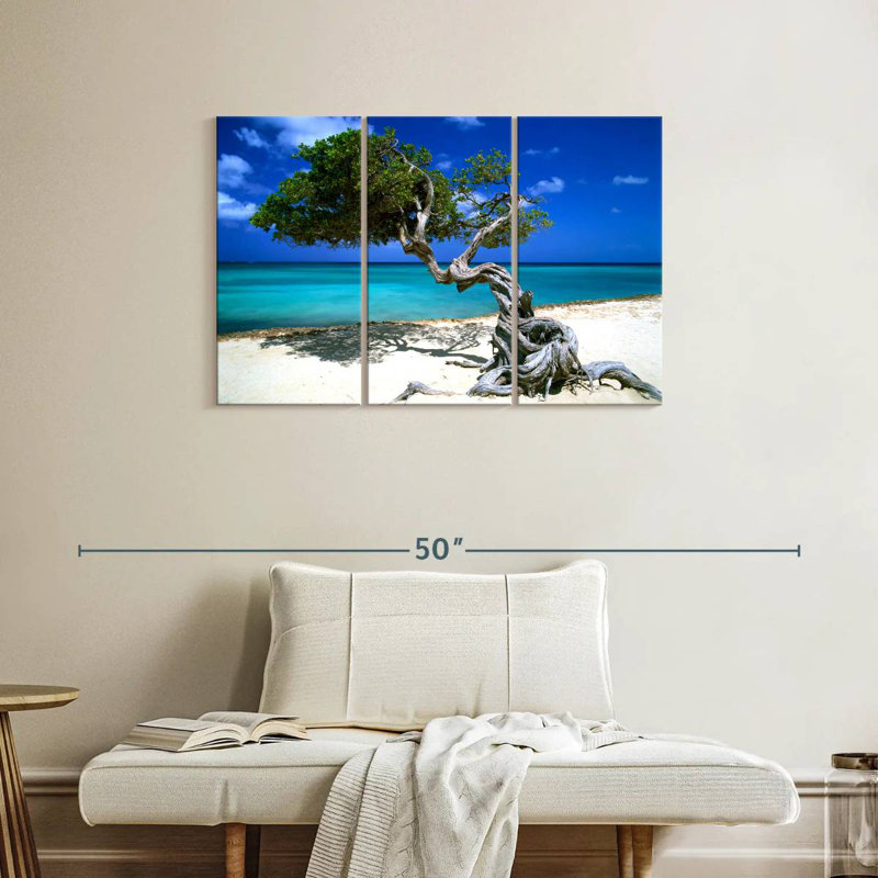 Divi Divi Tree Aruba Lesser Antilles, 24" H x 38" W