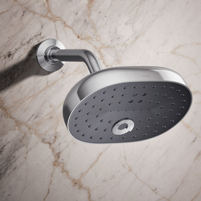 Statement2.5 GPM Oval Multifunction Showerhead with Katalyst Air-Induction Technology