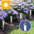 Low Voltage Solar Powered Integrated LED Metal Pathway Light Pack