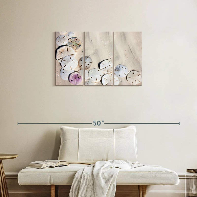 Brampt Beach Sand Dollars, 20" H x 33" W