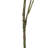 50'' Faux Hop Branch