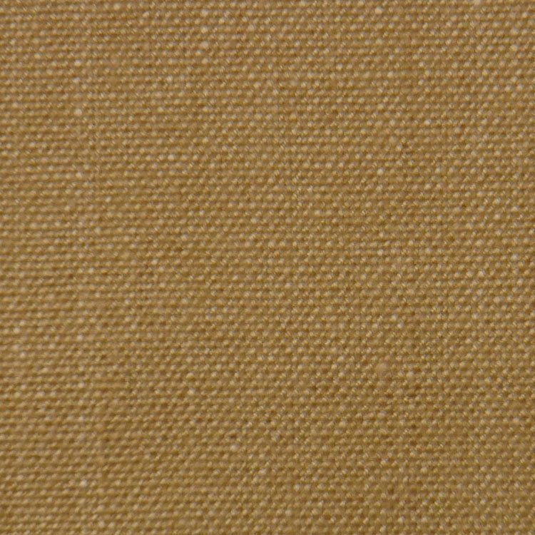 Tissu Cassone, Chameau