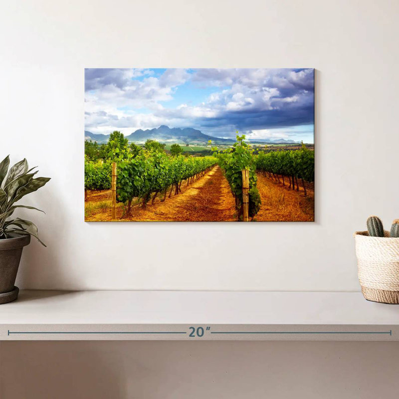 Vignoble pittoresque d'Alvord, H 8 po x l 12 po