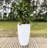 Amsterdan Pot Planter-50346400-50341600