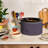 Bella 6.0 QT Manual Slow Cooker-114111867