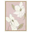 Oleander blanc - cadre photo-59854985-59854984