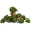 Ensemble de 12 plantes succulentes artificielles Echeveria-1866316393-1866316375