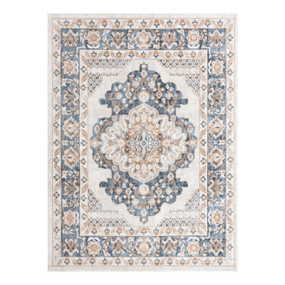 Oriental Indoor Rug