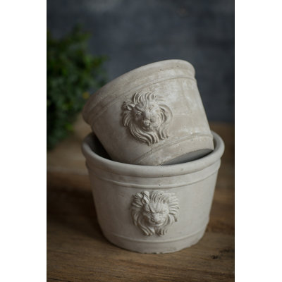 Lynda Pot Planter